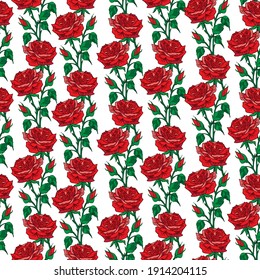 Red roses, ornamental flowers Seamless Pattern, isolated on white   background  Floral  border wallpaper vector illustration