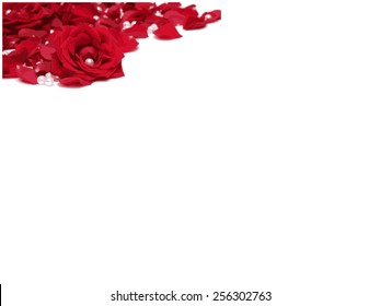 Red roses with pearls vector isolated on white background