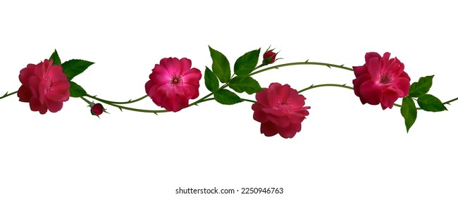 Red roses. Seamless pattern. Border. Green. Leaves. Flowers. Floral background. Buds.