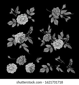 Red roses set. Multicolor vector illustration. Element for design.