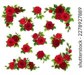Red roses. Set of vector design elements with red rose flowers isolated on a white background