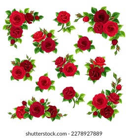 Red roses. Set of vector design elements with red rose flowers isolated on a white background