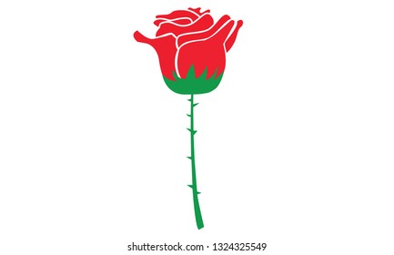 Red roses  Valentines Day