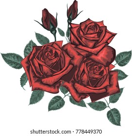 Red  Roses   - Vector