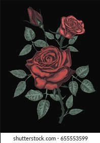 Red  Roses  -  Vector Art - Beautiful rose isolated on Black.
