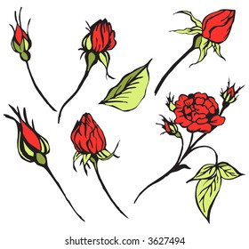 Ilustración vectorial de rosas rojas - dibujado a mano