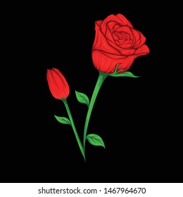 Red roses vector isolated on blank background