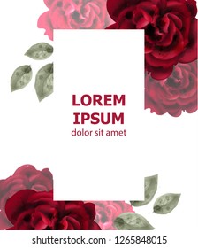 Red roses watercolor card Vector. Invitation card, Valentine, wedding ceremony, delicate postcard, Women day greeting card. Beautiful colors