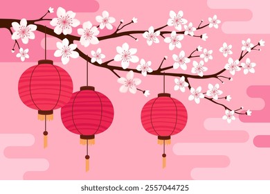 Red round silk or paper Asian lanterns hang on a branch with white sakura flowers, pink background. Chinese lanterns. Lunar New Year, Chinese New Year, Tet. Spring cherry or apple flowers.