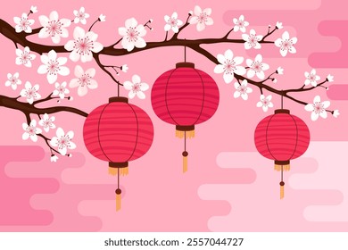 Red round silk or paper Asian lanterns hang on a branch with white sakura flowers, pink background. Chinese lanterns. Lunar New Year, Chinese New Year, Tet. Spring cherry or apple flowers.