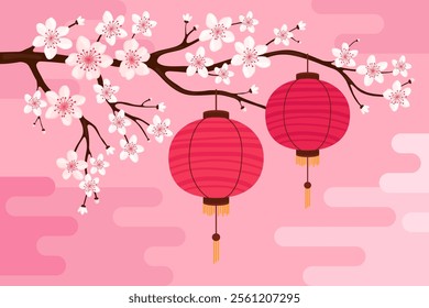 Red round silk or paper Asian lanterns hang on a branch with white sakura flowers, pink background. Chinese lanterns. Lunar New Year, Chinese New Year, Tet. Spring cherry or apple flowers.