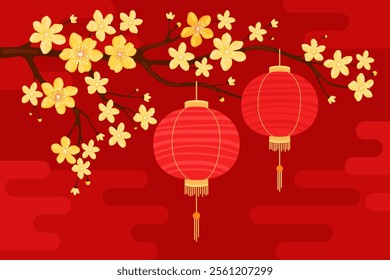 Red round silk or paper Asian lanterns hang on a branch with yellow apricot flowers, red background. Chinese lanterns. Lunar New Year, Chinese New Year, Tet. Spring sakura, cherry or apple flowers.