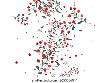 Vector blanco de fondo de color Rojo Rowan. Ilustración de Gradación Foliage. Patrón de Berries Verdes. Marco de objeto. Naturaleza de la hierba.