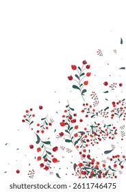 Red Rowan Background White Vector. Berries School Texture. Burgundy Herb Floral. Nature Frame. Foliage Decorative.