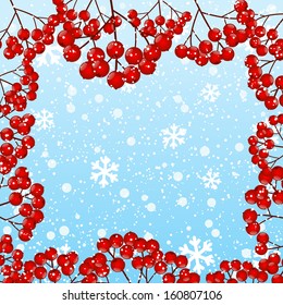 Red rowan berries frame on winter background