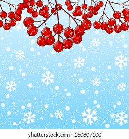 Red rowan berries on winter background