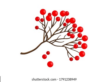 Red rowan berry branch icon, winter plant isolated on white background. Vector illustration