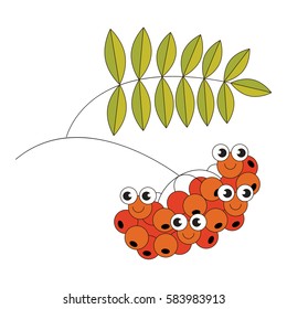 Red Rowan cartoon. Outlined object with black stroke.
