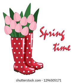 Red rubber boots with pink tulips in them and text "Spring time". Spring illustration. Seasons greeting.