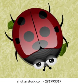Red sad ladybug on a grassy green background