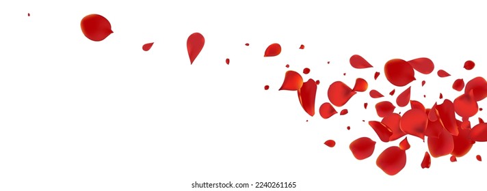 Red Sakura Blur Vector Panoramic White Background. Fly Blossom Illustration. Pink Rose Summer Cover. Beautiful Cherry Tender Pattern.