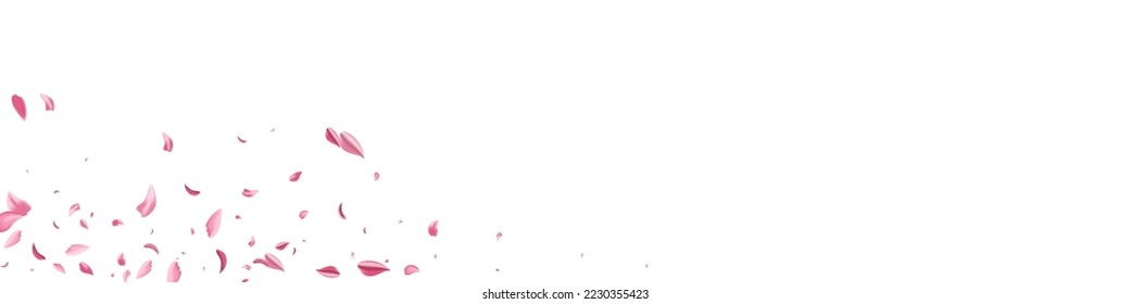 Red Sakura Fall Vector White Panoramic Background. Japanese Lotus Wallpaper. Pink Peach Fly Template. Beautiful Petal Tender Frame.