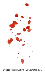 Red Sakura Flying Vector White Background. Japanese Peach Backdrop. Beautiful Lotus Fly Template. Delicate Cherry Tender Design.
