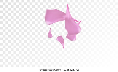 Red Sakura Petals Falling Down. Isolated Vector illustration of Sakura Petals. Flying Red Cherry Blossom Background. Design of Greeting or Invitation Card. 

