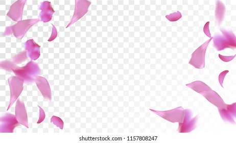 Red Sakura Petals Falling Down. Isolated Vector illustration of Sakura Petals. Flying Red Cherry Blossom Background. Design of Greeting or Invitation Card. 

