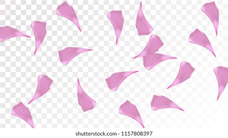 Red Sakura Petals Falling Down. Isolated Vector illustration of Sakura Petals. Flying Red Cherry Blossom Background. Design of Greeting or Invitation Card. 
