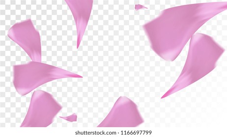 Red Sakura Petals Falling Down. Isolated Vector illustration of Sakura Petals. Flying Red Cherry Blossom Background. Design of Greeting or Invitation Card. 
