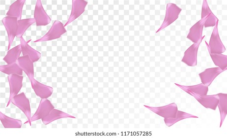 Red Sakura Petals Falling Down. Isolated Vector illustration of Sakura Petals. Flying Red Cherry Blossom Background. Design of Greeting or Invitation Card. 
