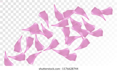 Red Sakura Petals Falling Down. Isolated Vector illustration of Sakura Petals. Flying Red Cherry Blossom Background. Design of Greeting or Invitation Card. 
