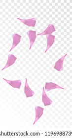 Red Sakura Petals Falling Down. Isolated Vector illustration of Sakura Petals. Flying Red Cherry Blossom Background. Design of Greeting or Invitation Card. 
