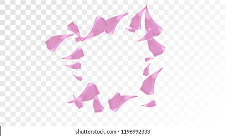 Red Sakura Petals Falling Down. Isolated Vector illustration of Sakura Petals. Flying Red Cherry Blossom Background. Design of Greeting or Invitation Card. 
