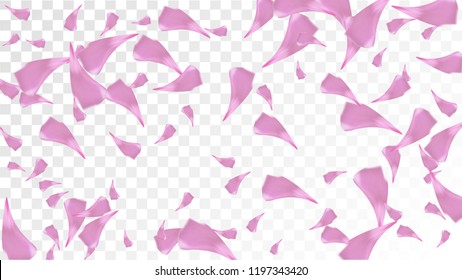 Red Sakura Petals Falling Down. Isolated Vector illustration of Sakura Petals. Flying Red Cherry Blossom Background. Design of Greeting or Invitation Card. 
