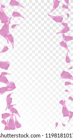 Red Sakura Petals Falling Down. Isolated Vector illustration of Sakura Petals. Flying Red Cherry Blossom Background. Design of Greeting or Invitation Card. 

