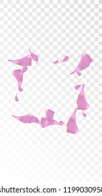 Red Sakura Petals Falling Down. Isolated Vector illustration of Sakura Petals. Flying Red Cherry Blossom Background. Design of Greeting or Invitation Card. 
