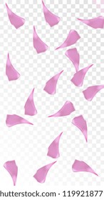 Red Sakura Petals Falling Down. Isolated Vector illustration of Sakura Petals. Flying Red Cherry Blossom Background. Design of Greeting or Invitation Card. 

