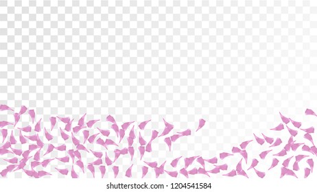 Red Sakura Petals Falling Down. Isolated Vector illustration of Sakura Petals. Flying Red Cherry Blossom Background. Design of Greeting or Invitation Card. 
