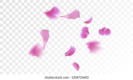 Red Sakura Petals Falling Down. Isolated Vector illustration of Sakura Petals. Flying Red Cherry Blossom Background. Design of Greeting or Invitation Card. 

