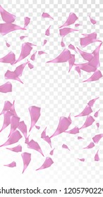 Red Sakura Petals Falling Down. Isolated Vector illustration of Sakura Petals. Flying Red Cherry Blossom Background. Design of Greeting or Invitation Card. 
