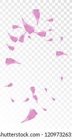 Red Sakura Petals Falling Down. Isolated Vector illustration of Sakura Petals. Flying Red Cherry Blossom Background. Design of Greeting or Invitation Card. 
