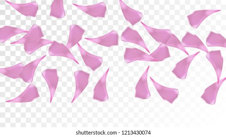 Red Sakura Petals Falling Down. Isolated Vector illustration of Sakura Petals. Flying Red Cherry Blossom Background. Design of Greeting or Invitation Card. 
