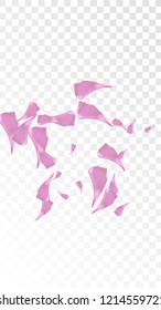 Red Sakura Petals Falling Down. Isolated Vector illustration of Sakura Petals. Flying Red Cherry Blossom Background. Design of Greeting or Invitation Card. 
