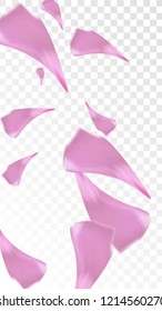 Red Sakura Petals Falling Down. Isolated Vector illustration of Sakura Petals. Flying Red Cherry Blossom Background. Design of Greeting or Invitation Card. 
