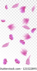 Red Sakura Petals Falling Down. Isolated Vector illustration of Sakura Petals. Flying Red Cherry Blossom Background. Design of Greeting or Invitation Card. 
