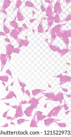 Red Sakura Petals Falling Down. Isolated Vector illustration of Sakura Petals. Flying Red Cherry Blossom Background. Design of Greeting or Invitation Card. 
