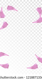 Red Sakura Petals Falling Down. Isolated Vector illustration of Sakura Petals. Flying Red Cherry Blossom Background. Design of Greeting or Invitation Card. 
