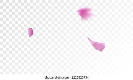 Red Sakura Petals Falling Down. Isolated Vector illustration of Sakura Petals. Flying Red Cherry Blossom Background. Design of Greeting or Invitation Card. 
